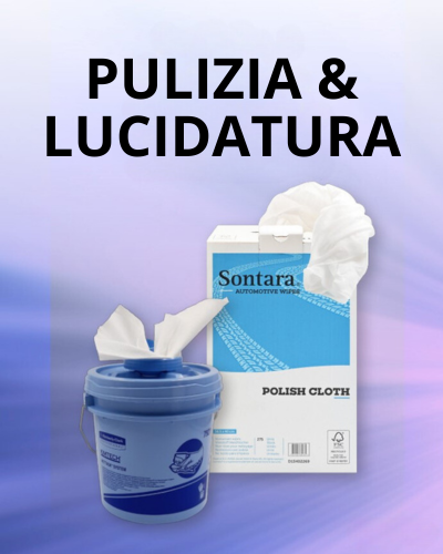 Capitolo Pulizia e Lucidatura 2023-2025